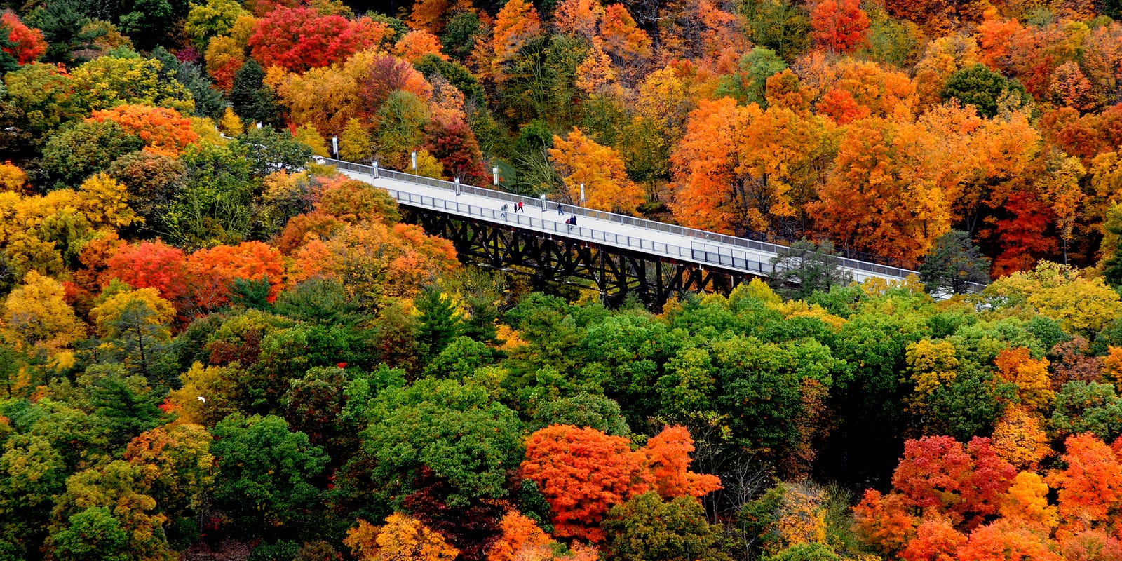 New York state peak fall color Where to find best foliage