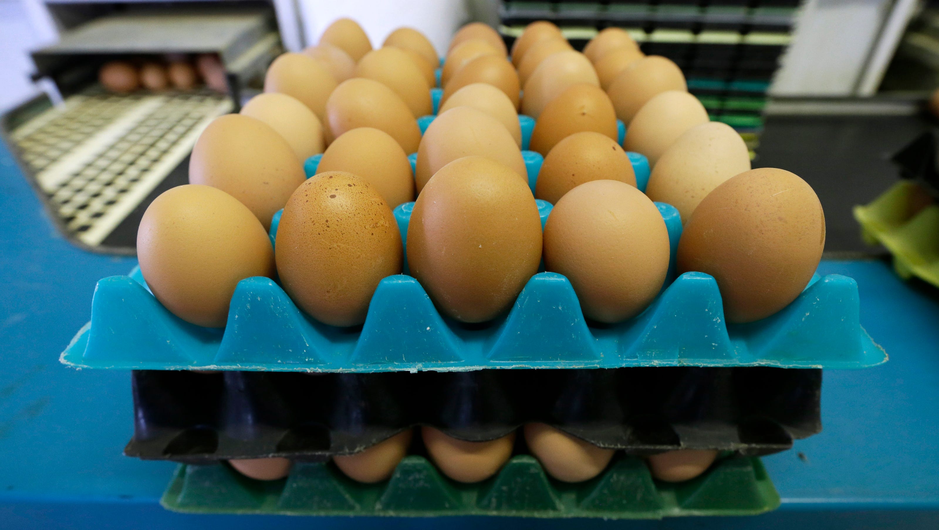 Сколько растет яйцо. Азербайджанские яйца. Яйцо (пищевой продукт). Самое большое съедобное яйцо. Яйцо столовое штамп.
