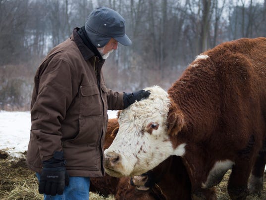 636513430940629817-Cow-010918-01-MW.jpg