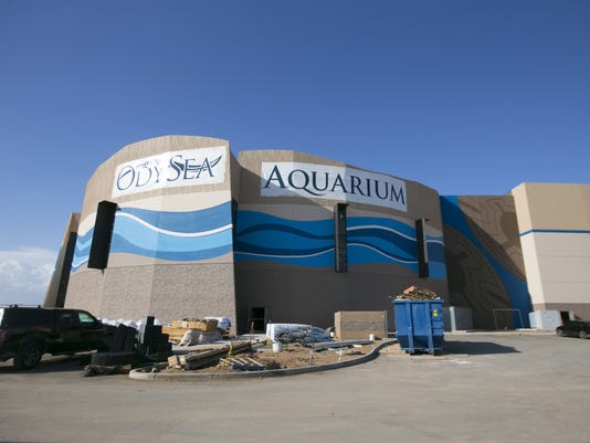 Get a sneak peek inside OdySea Aquarium near Scottsdale - 636046365457727859 File557 1 