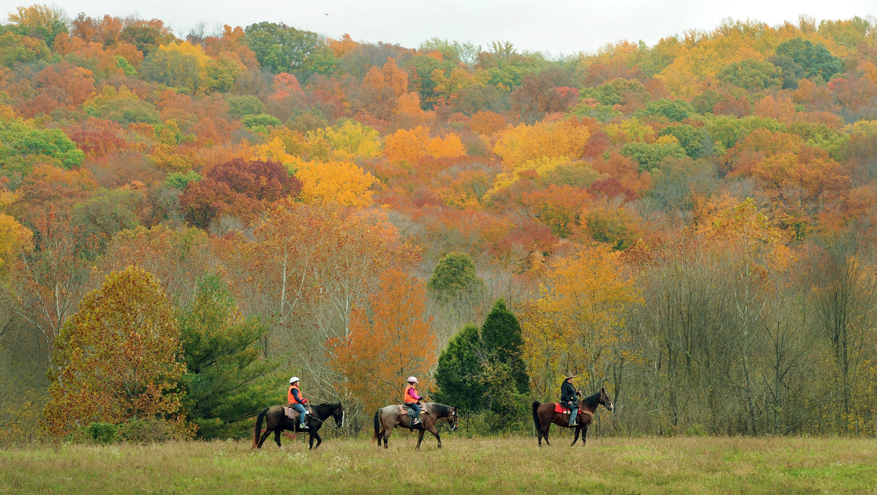 Hoosier National Forest management plan to go forward despite concerns