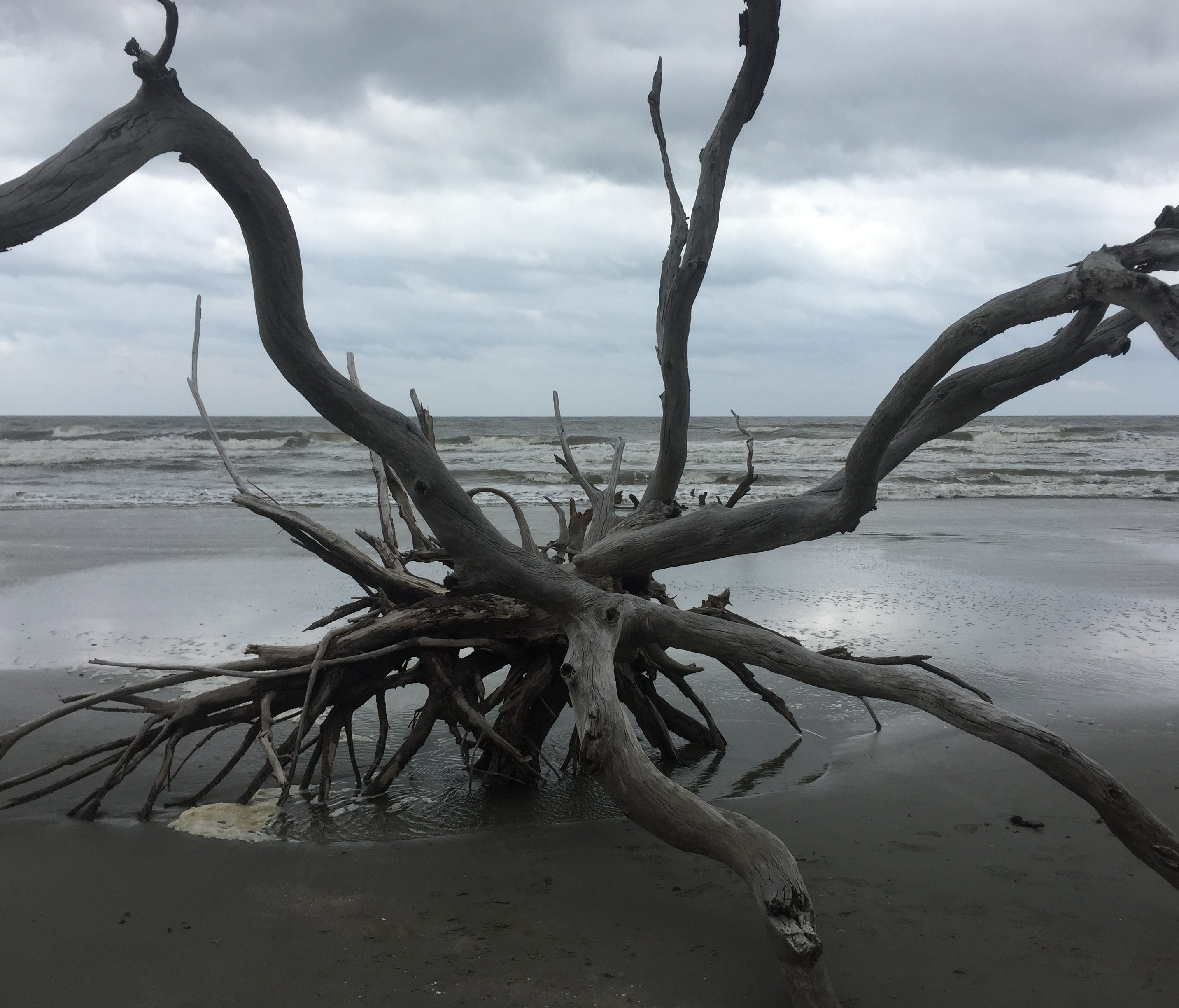 At Boneyard Beach, you quickly recognize the power of nature.