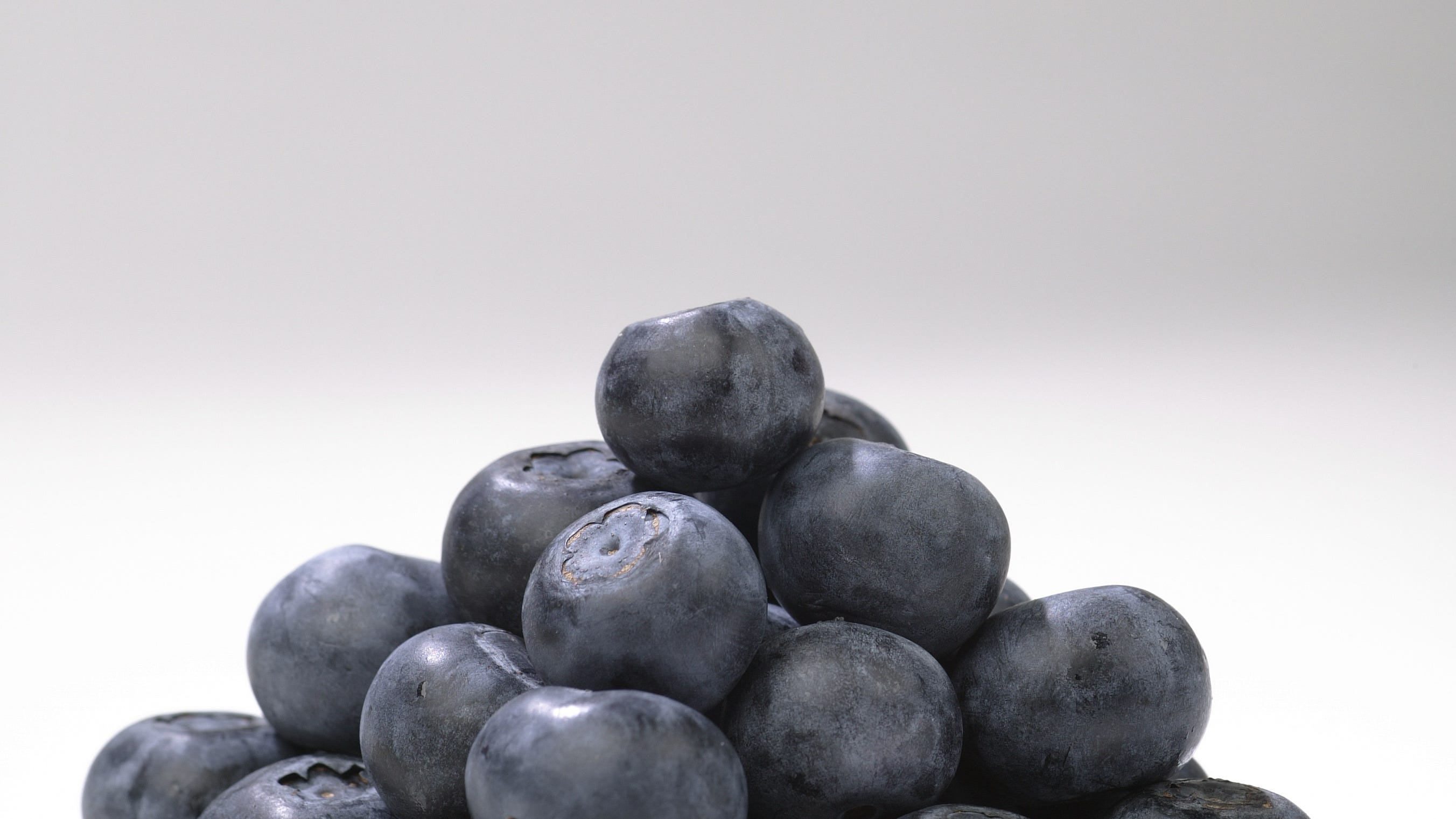 Avoid Mold On Blueberries Avoid Mold On Blueberries