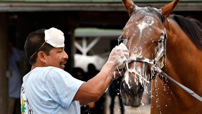 Groom Cesar Abrego gives a bath to one of the horses being trained by Dale Romans following his morning workout at Churchill Downs, Wednesday, April 19, 2017, in Louisville, Ky. Abrego came from Guatemala on an H-2B visa.
