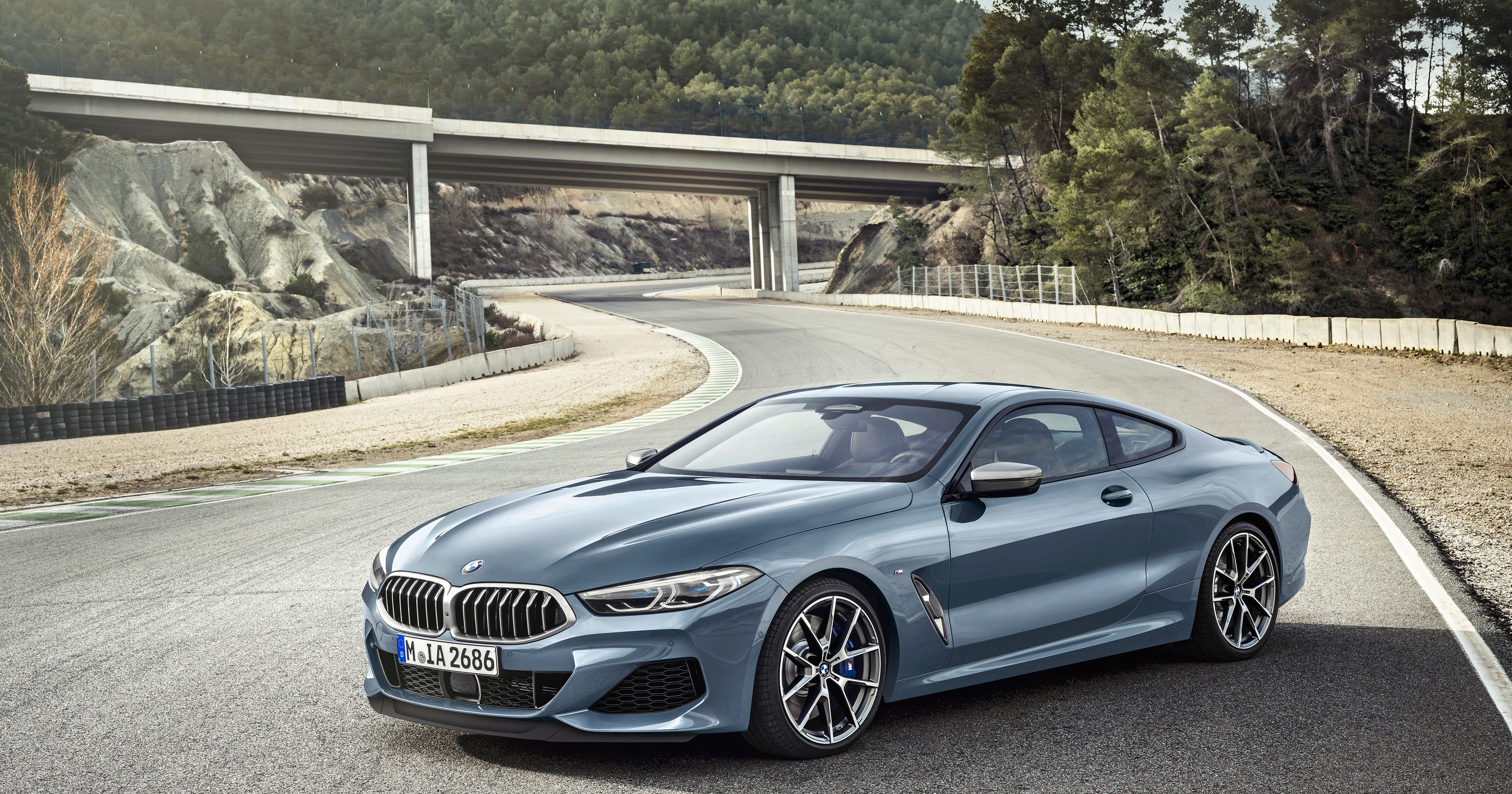 2019 Bmw 8 Series Coupe All New Luxury Car Hits Top Speed