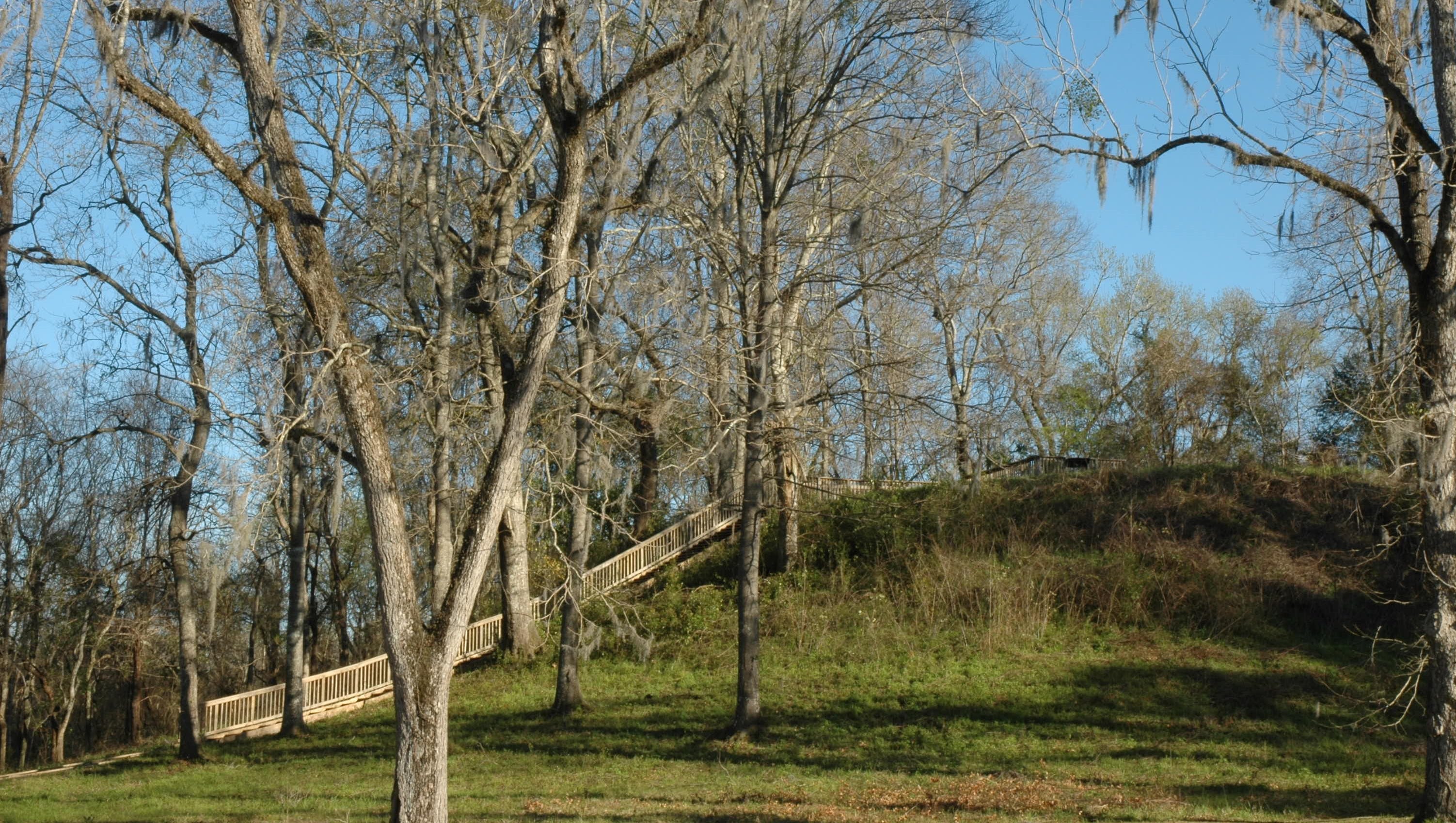 Lake Jackson Mounds reveal remnants of thriving culture
