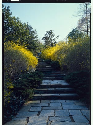 4 gardening e-book suggestions to combat the winter blues