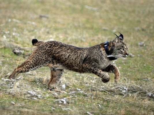 AFP 536220390 I CON ESP -