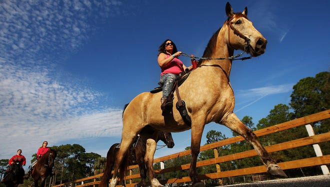 Janine Hart rides Livingston during the annual Saddle Up for St. Jude horseback trail ride on Jan. 11, 2015  at Endless Trails in North Fort Myers. The event returns for its 10th year on Jan. 3, 2016.