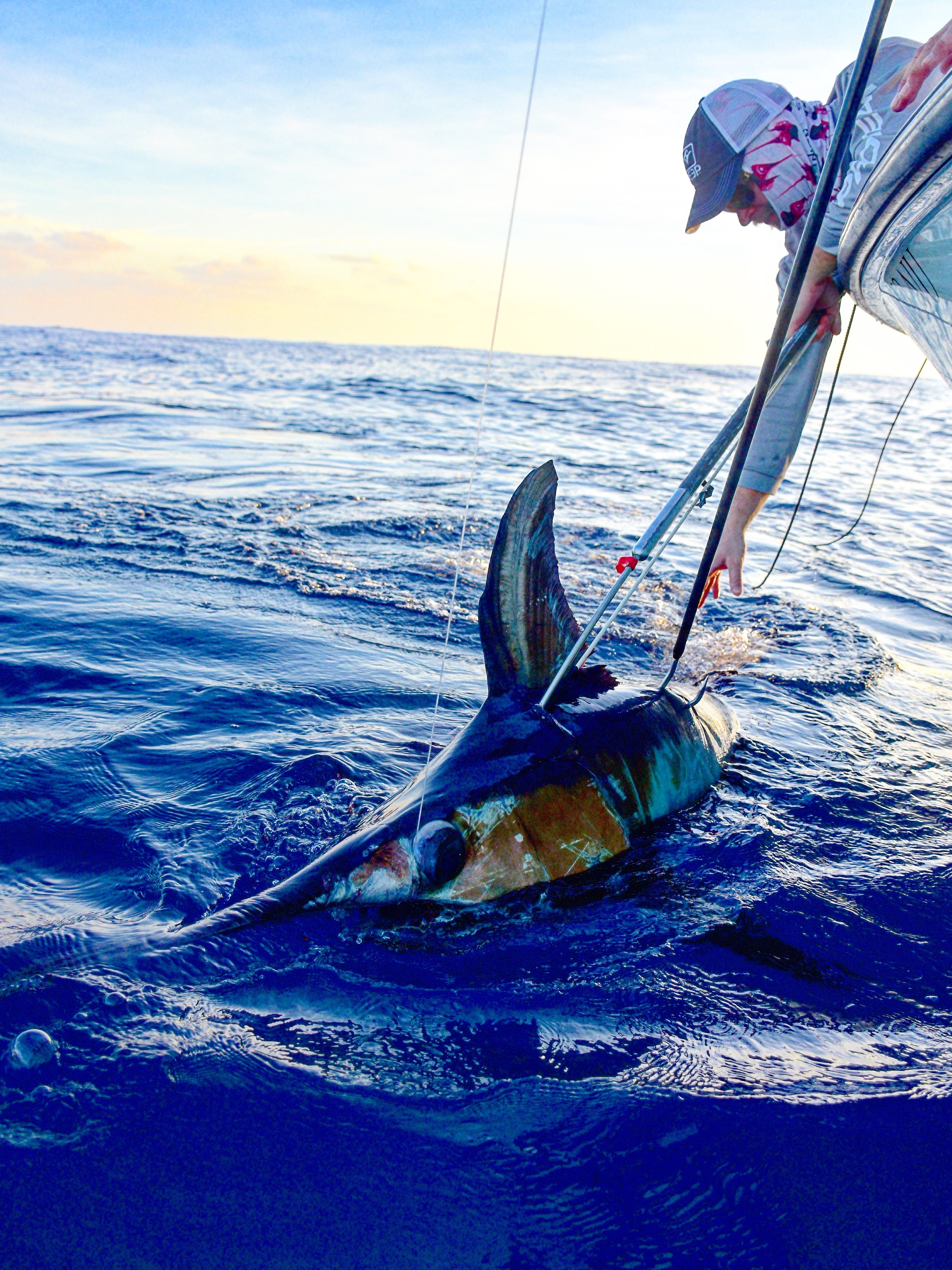 Federal Decision Threatens Swordfish
