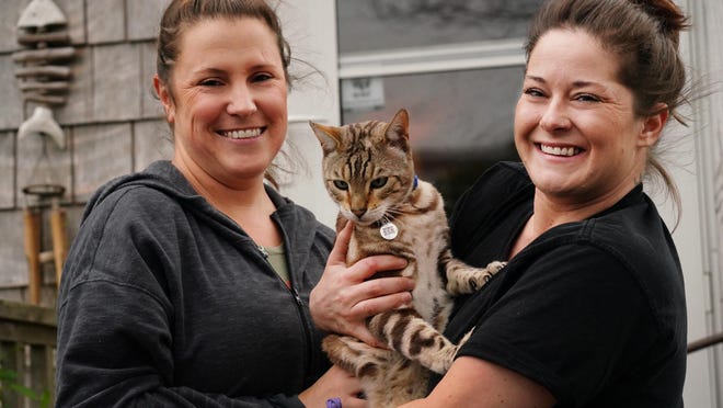 After two years missing, Coconuts the Bengal cat has returned home to Hampton with his owners Kerri Waters, left, and Holly Testerman.