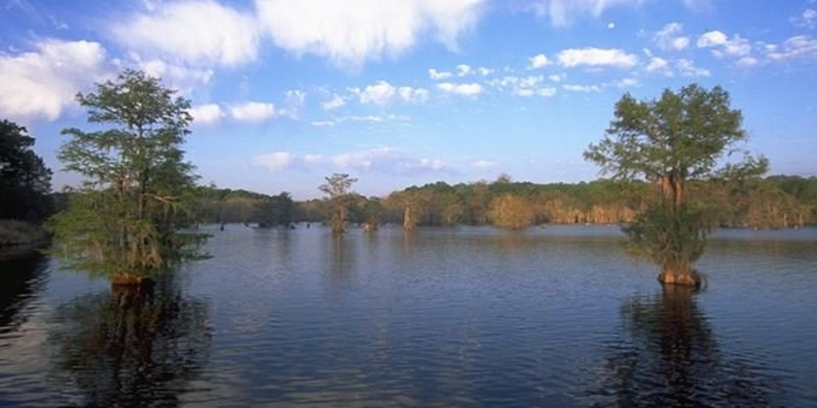 Chicot, Lake Bistineau State Parks tagged as future medical staging areas