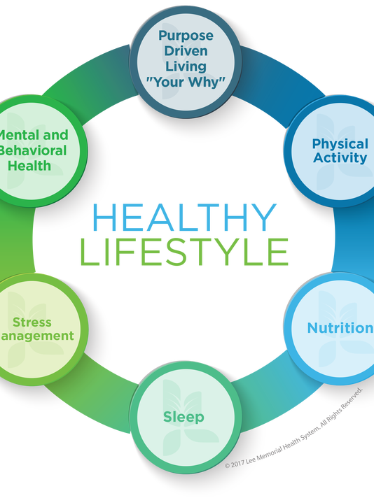 Wellness Wheel will help keep health on track