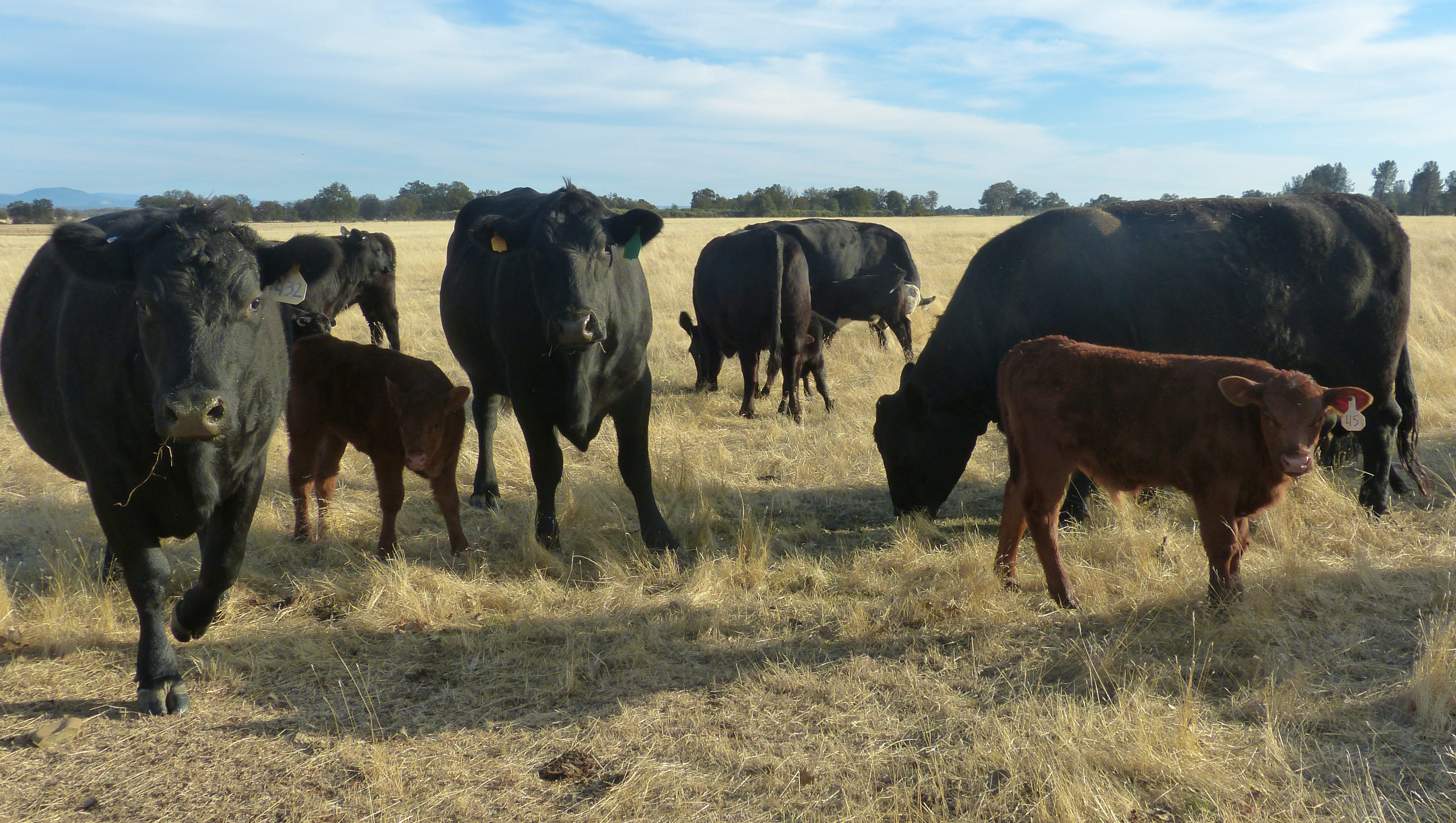 Grazing Lease At Stillwater Cuts Out Longtime Tenant