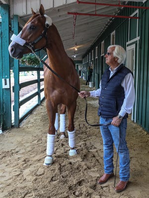 Trainer Bob Baffert leads Preakness and Kentucky Derby Winner Justify from the stakes barn at Pimlico on Sunday morning.  Justify is heading back to Churchill Downs.May 20, 2018