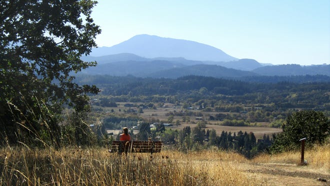 A view of Marys Peak from Bald Hill.
