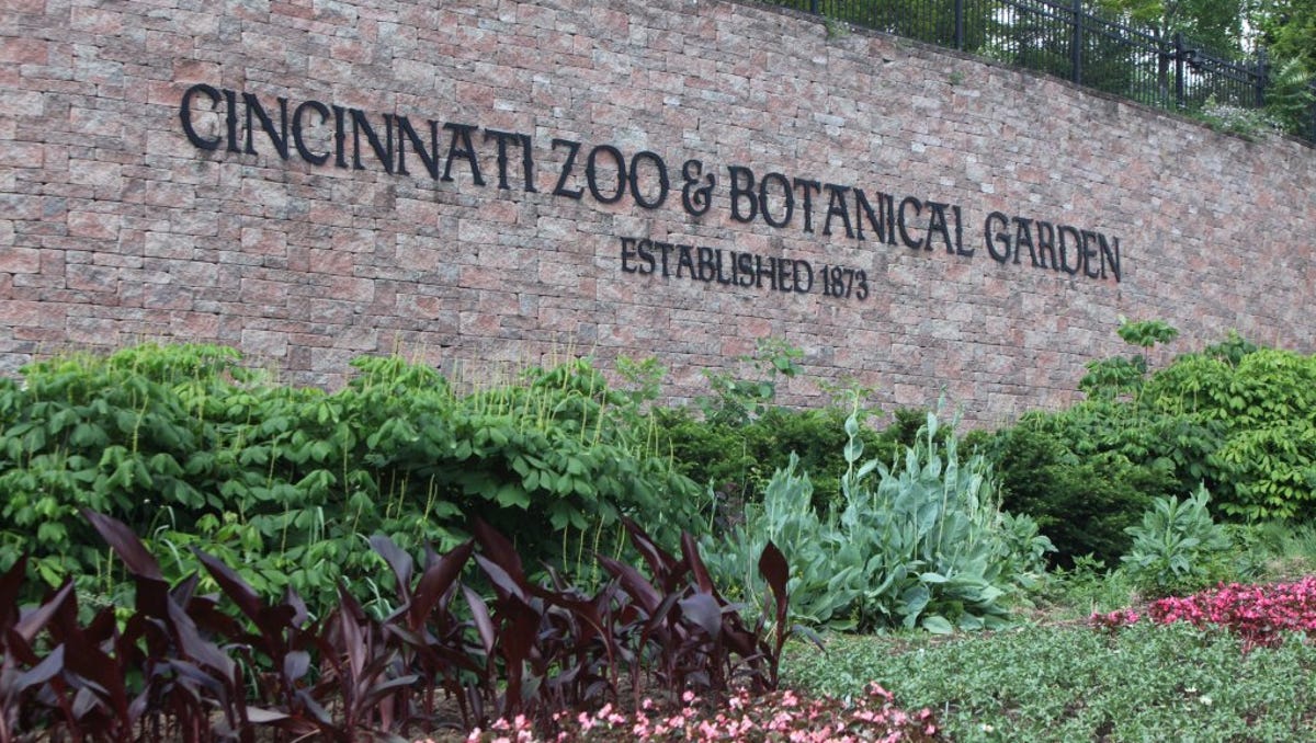 Cincinnati Zoo Returns To Twitter After Hiatus