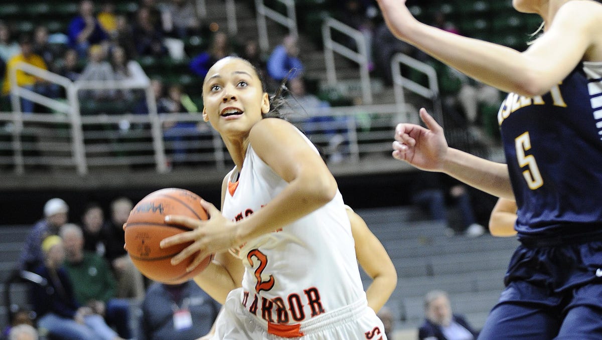 Detroit News Girls Basketball Dream Team All State Teams