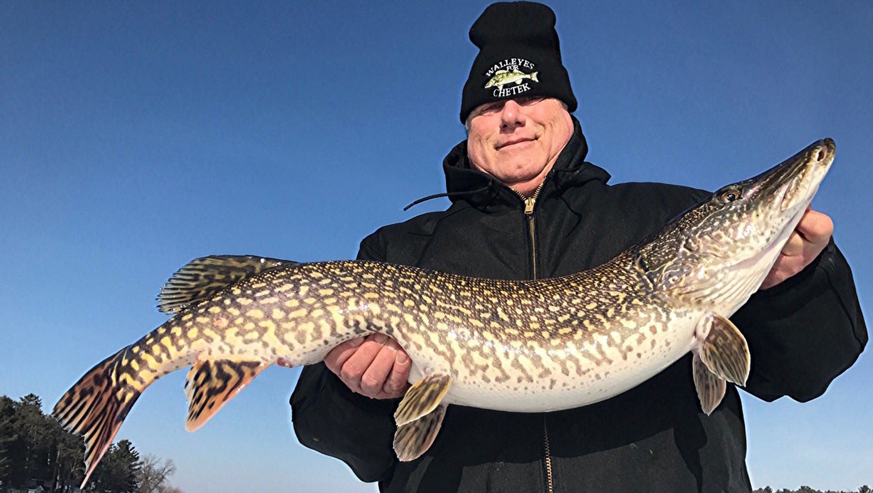 Northern Pike: It's What's For Dinner The Fishing Wire