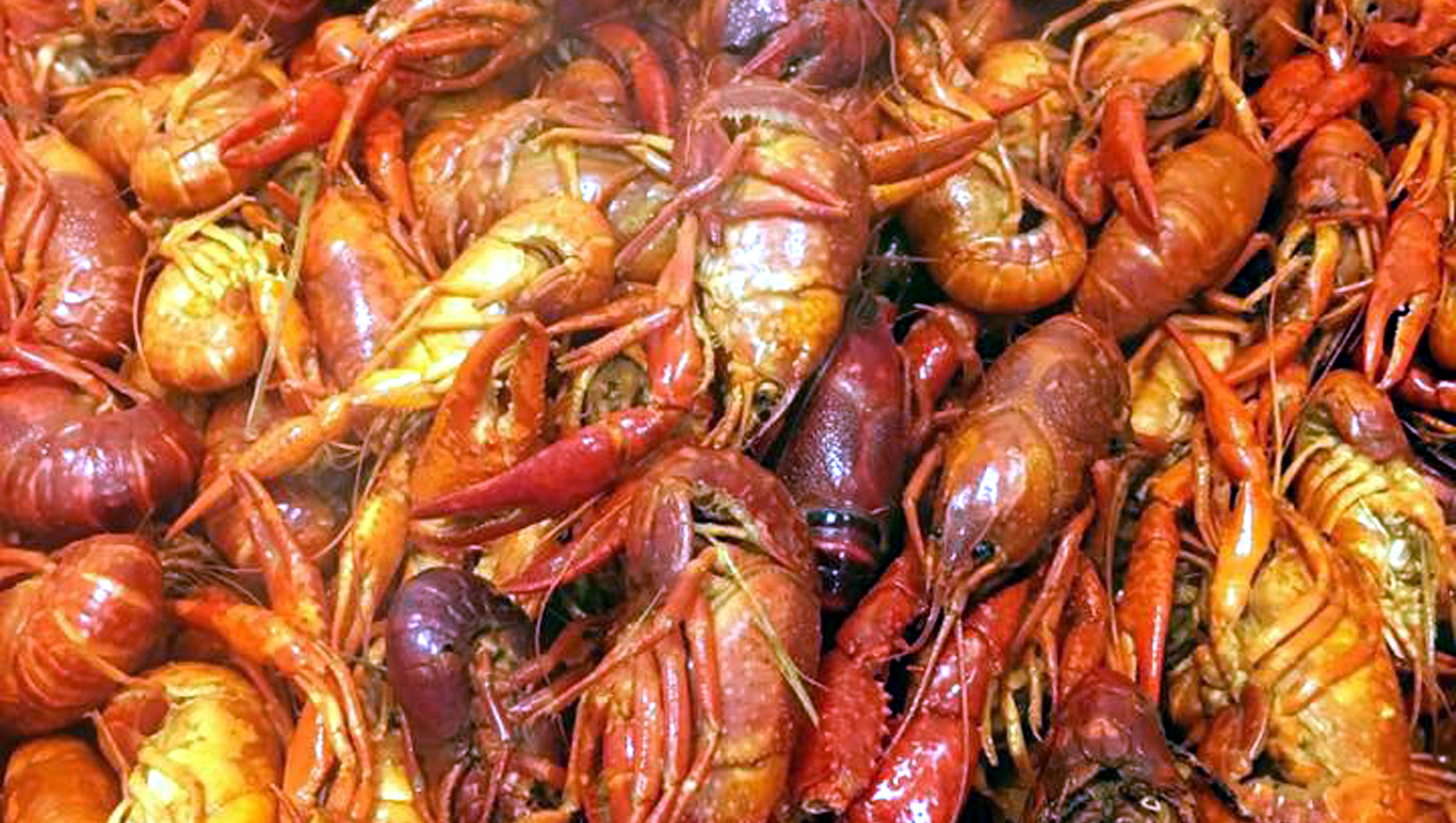 evansville mardi gras food 2025 evansville mardi gras food 2025