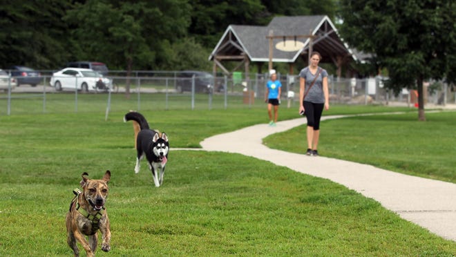 Tiger, front, and Koda take a lap around the Thornberry Off-Leash Dog Park on Monday, July 20, 2015.