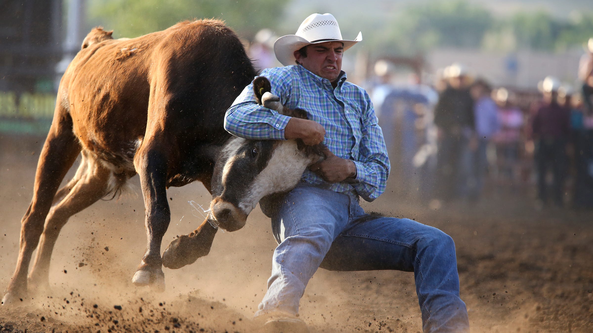 Thursday's Montana Scoreboard: Rodeo, Legoin baseball