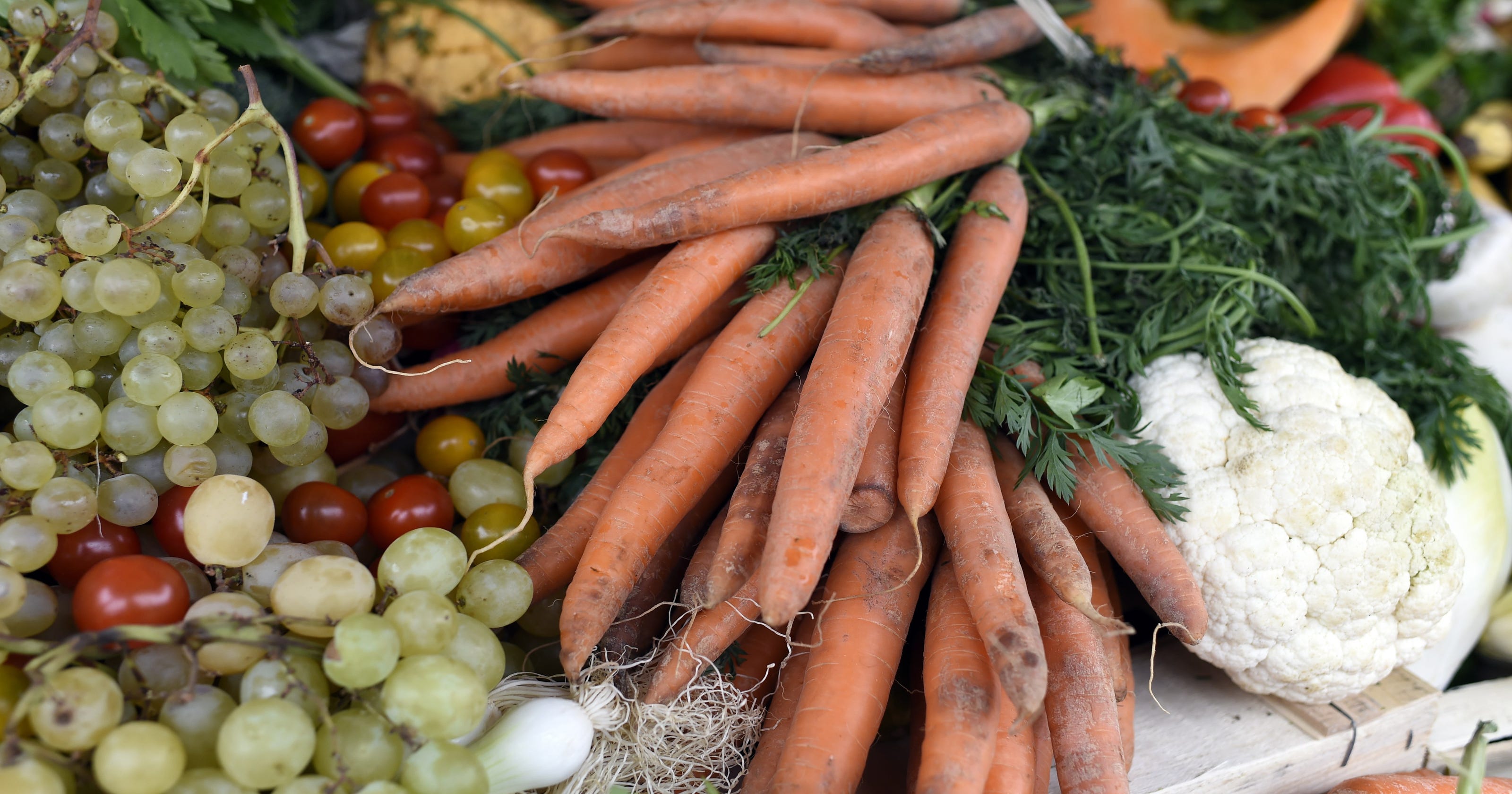 Ugly Food Is Just As Good As Perfect Produce