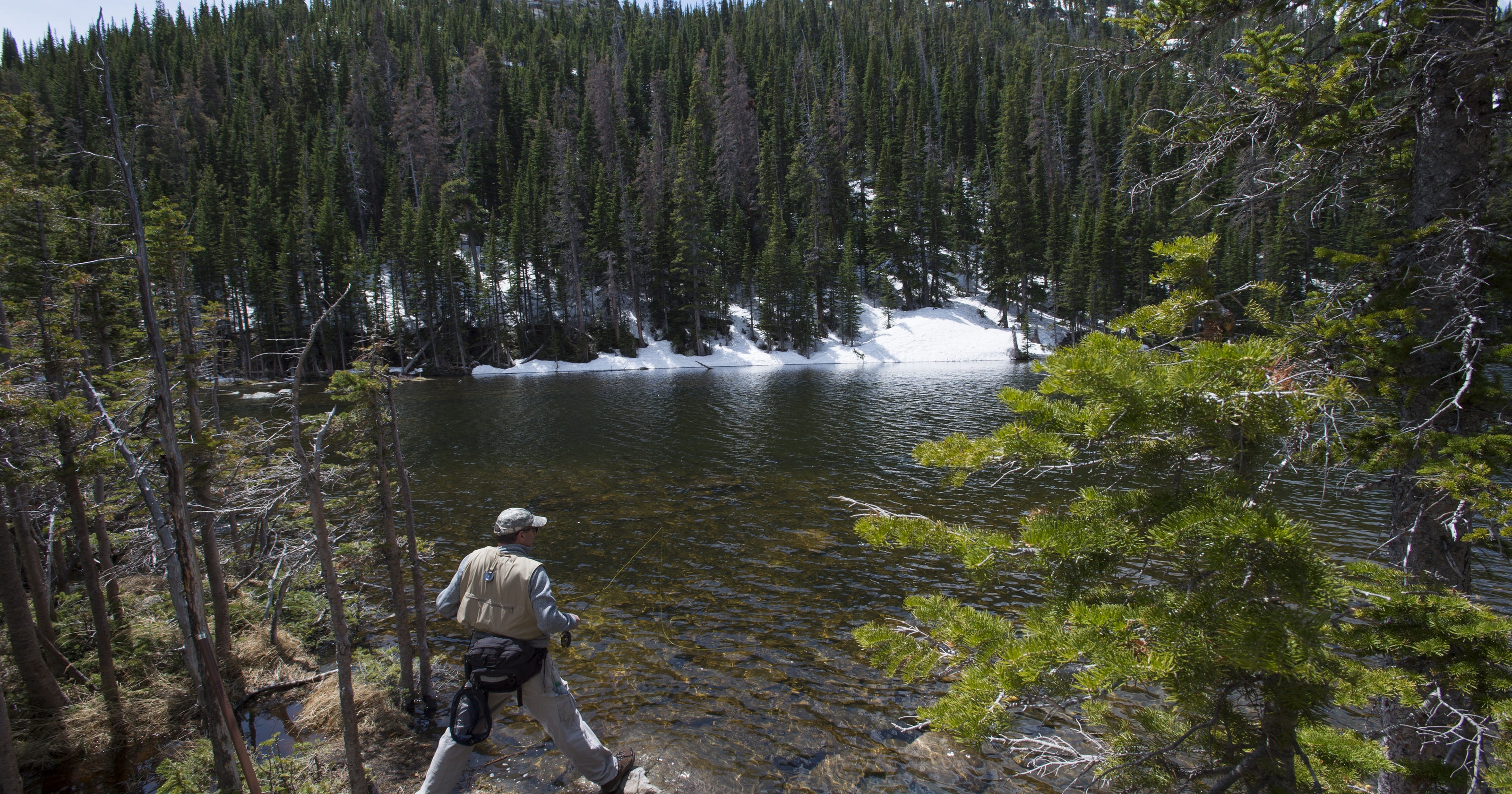 Try it Fly fishing at Rocky Mountain National Park