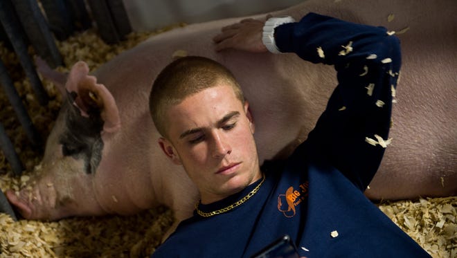 Porkers 4-H member Caleb Pottorff, 17, of Fort Pierce, soothes his Yorkshire cross pig "Lone Wolf" as he passes the time at the St. Lucie County Fair on Feb. 26, 2016 at the St. Lucie County Fairgrounds. "I just like actually showing the pigs," Pottorff said. "It's enjoyable, it's a fun time at the fair  it gives me a reason to come."
