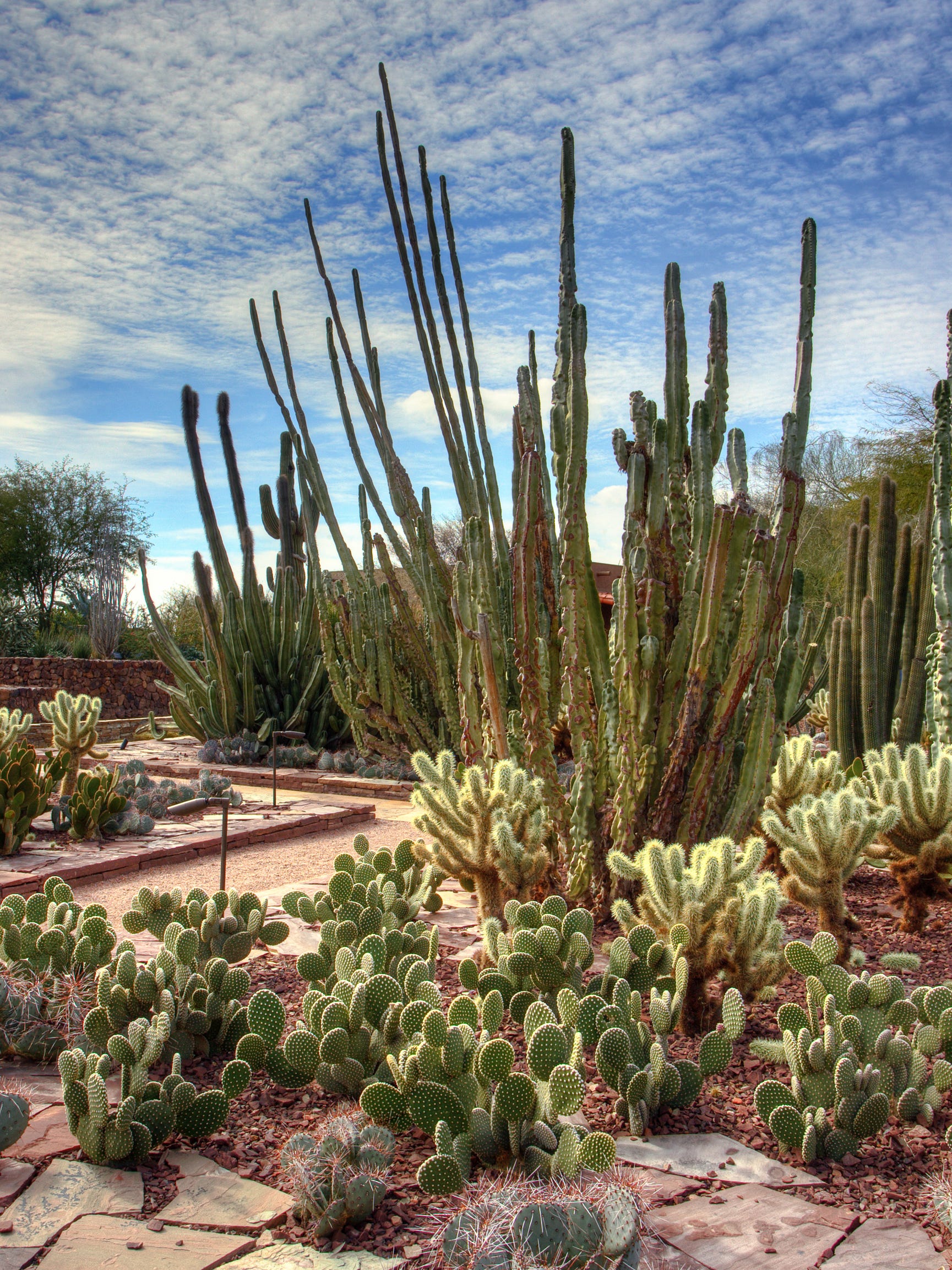 William Huizingh Former Desert Botanical Garden Chairman And Asu Professor Dies