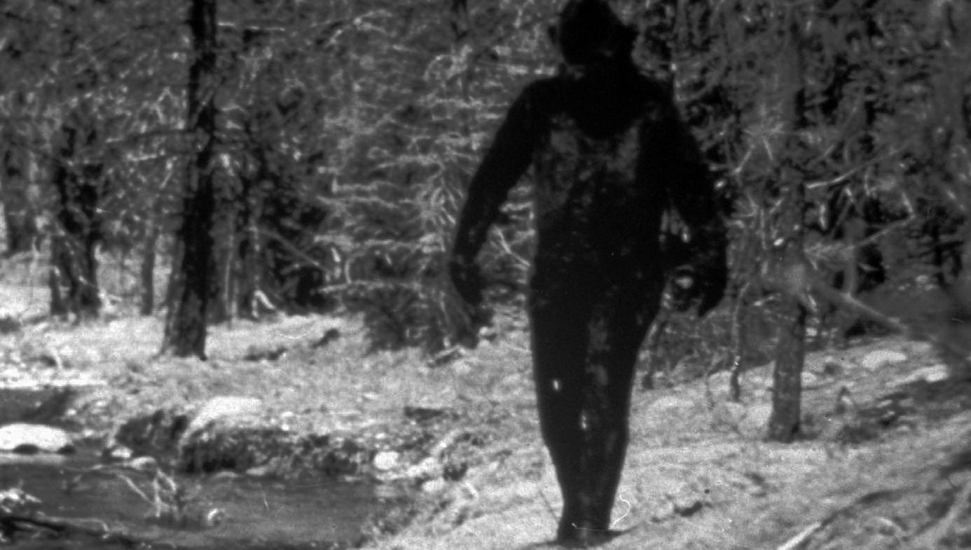 Bbig Foot : Bigfoot Claims Stepped On By New Hair Analysis