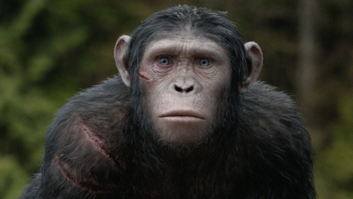 Guide To The Apes Of Dawn Of The Planet Of The Apes
