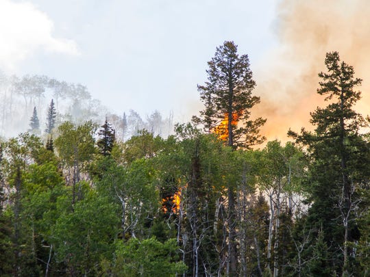 Brian Head Fire Unexpectedly Grows To 1 800 Acres