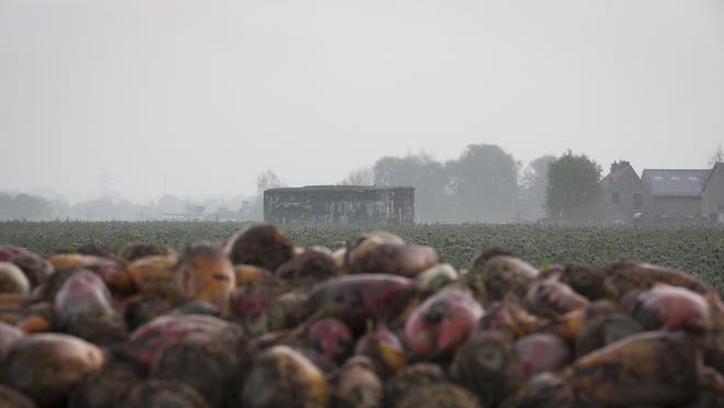 People living within 1 ½ miles of Michigan Sugar Co. beet processing plant say bad odors have ruined their ability to enjoy their properties. They say land values have fallen or will drop in the future