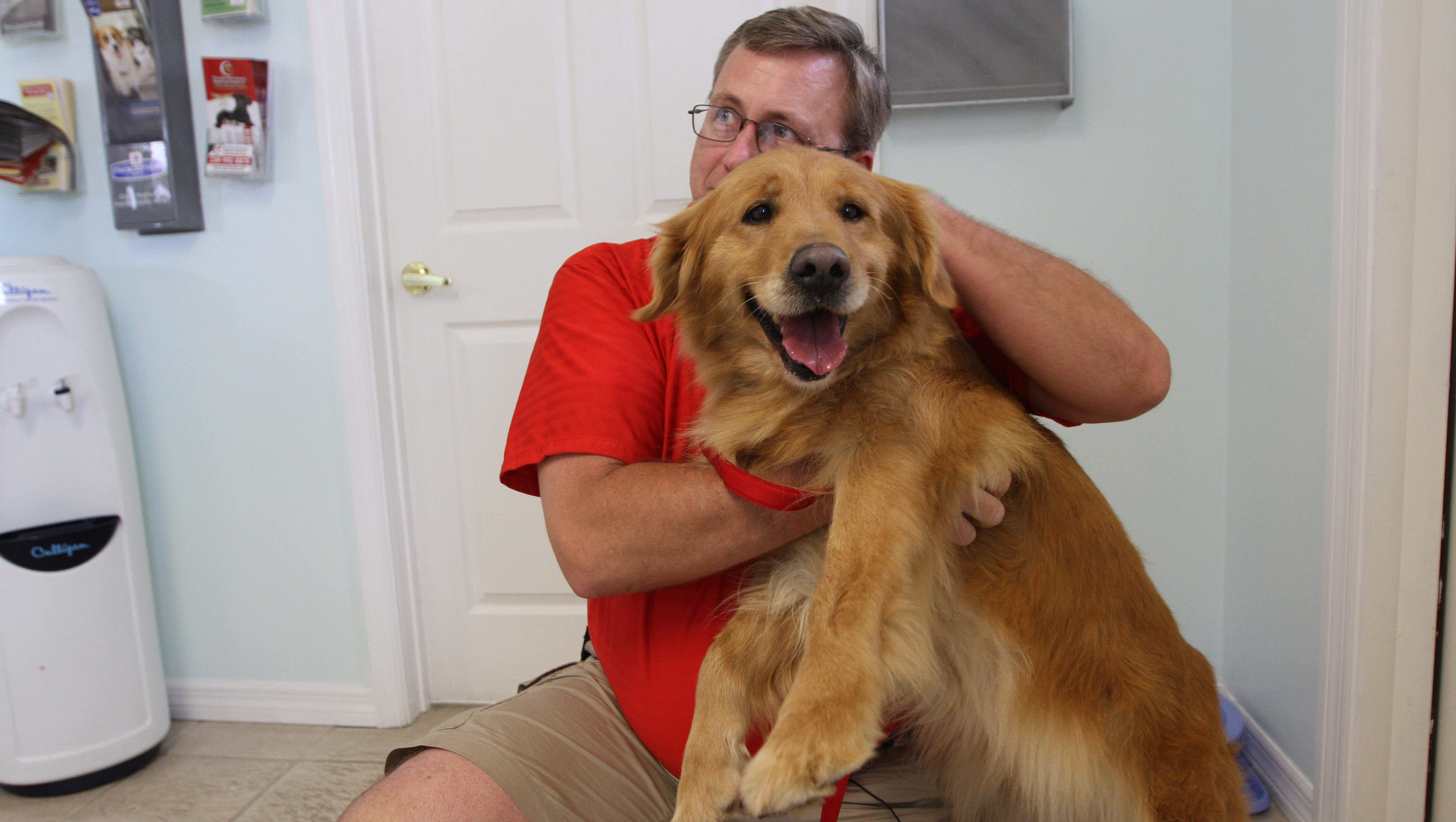 How Sky The Golden Retriever Was Saved From A Dog Meat Farm