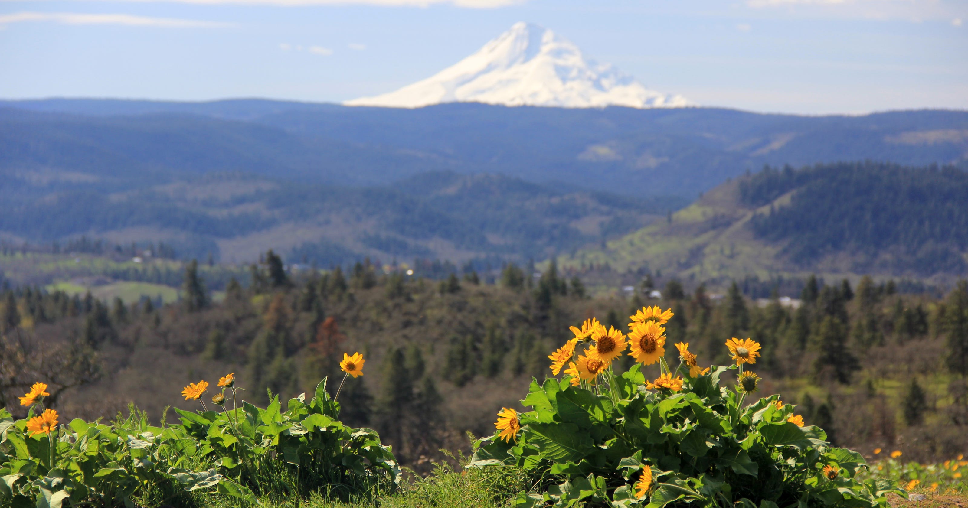 Oregon Top 10: Best spring adventures for families