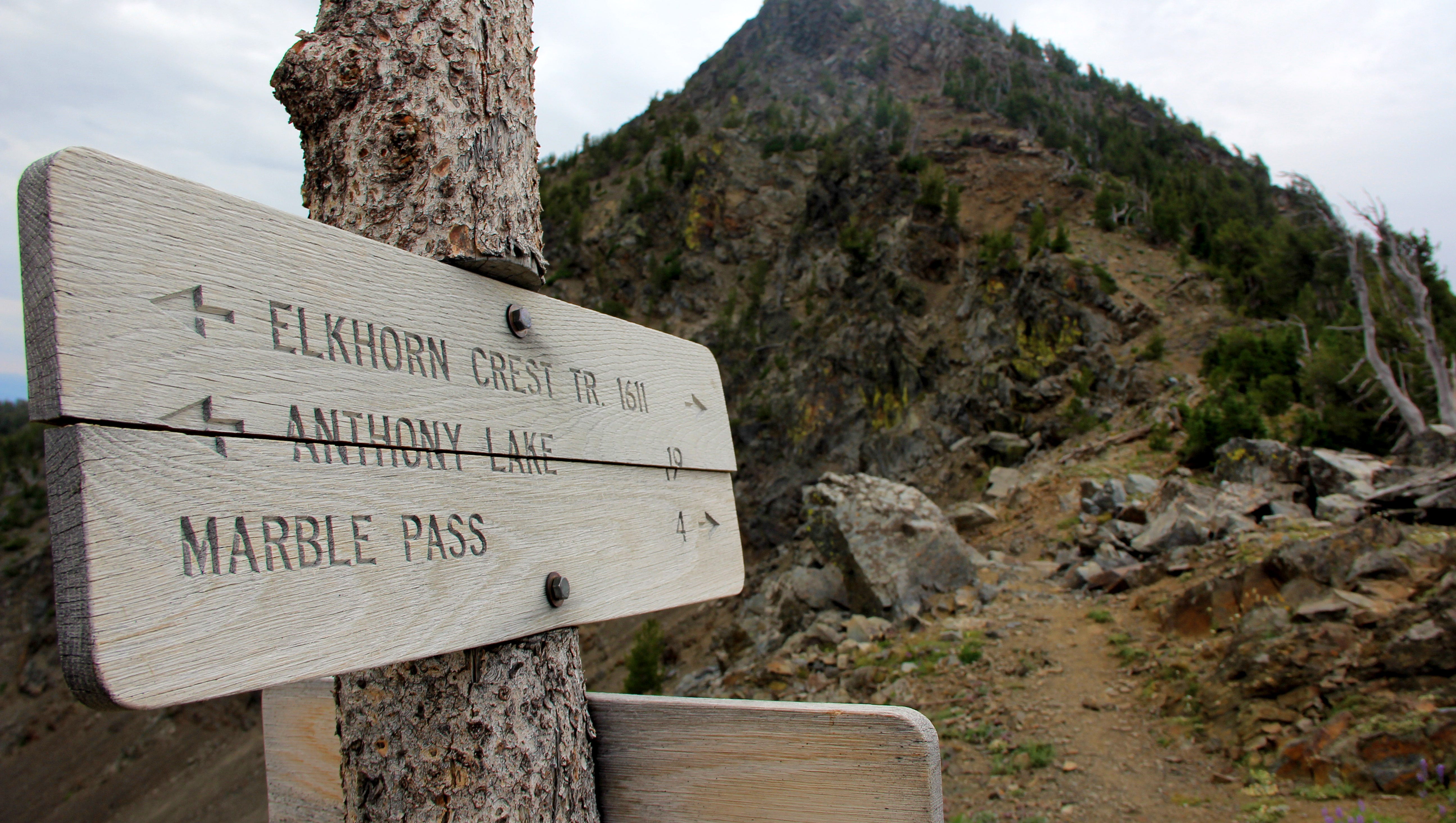Elkhorn Mountains Oregon Map Guide To Hiking The Elkhorn Mountains