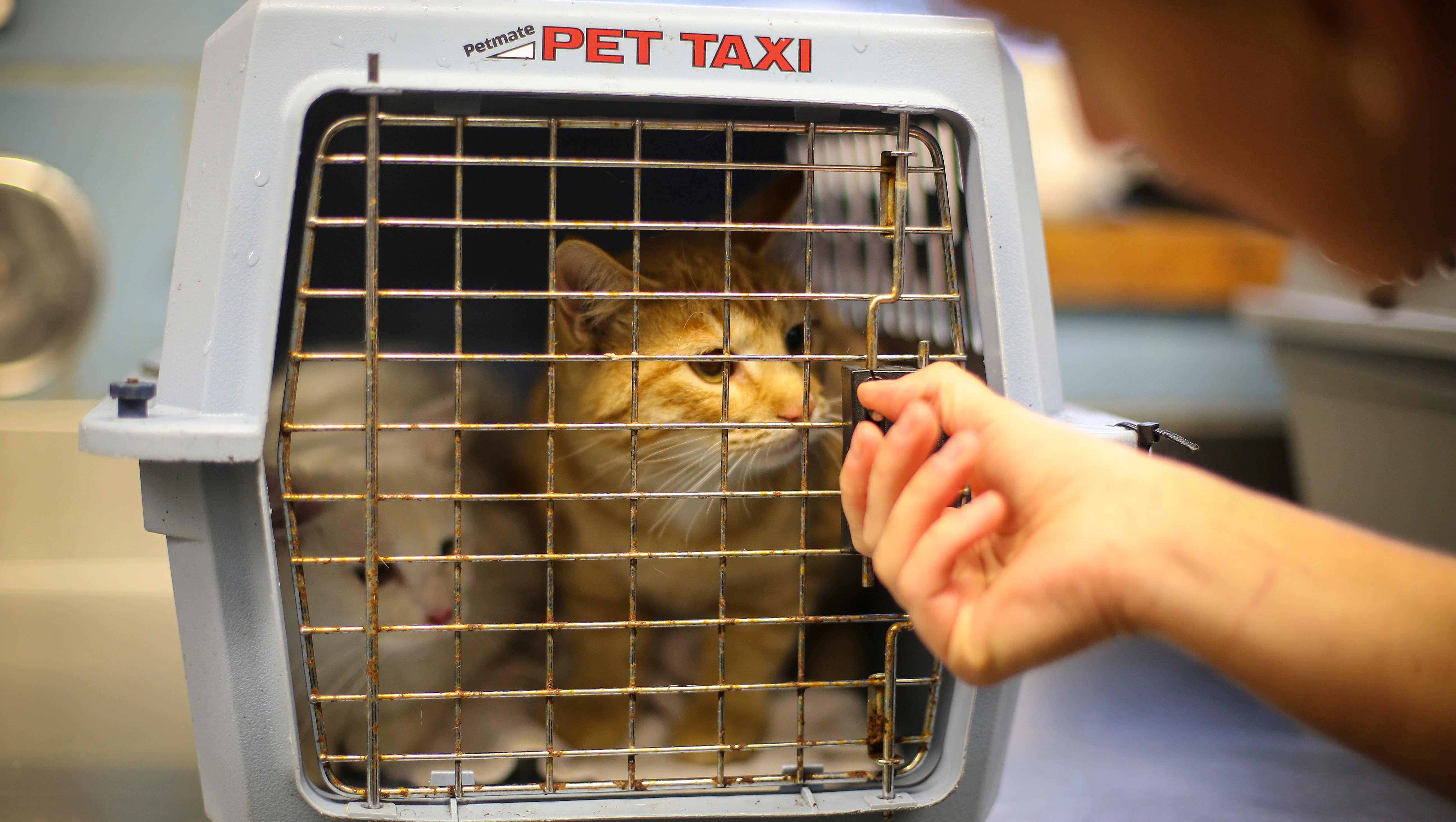 ARL lacks adoption-euthanasia data ARL lacks adoption-euthanasia data