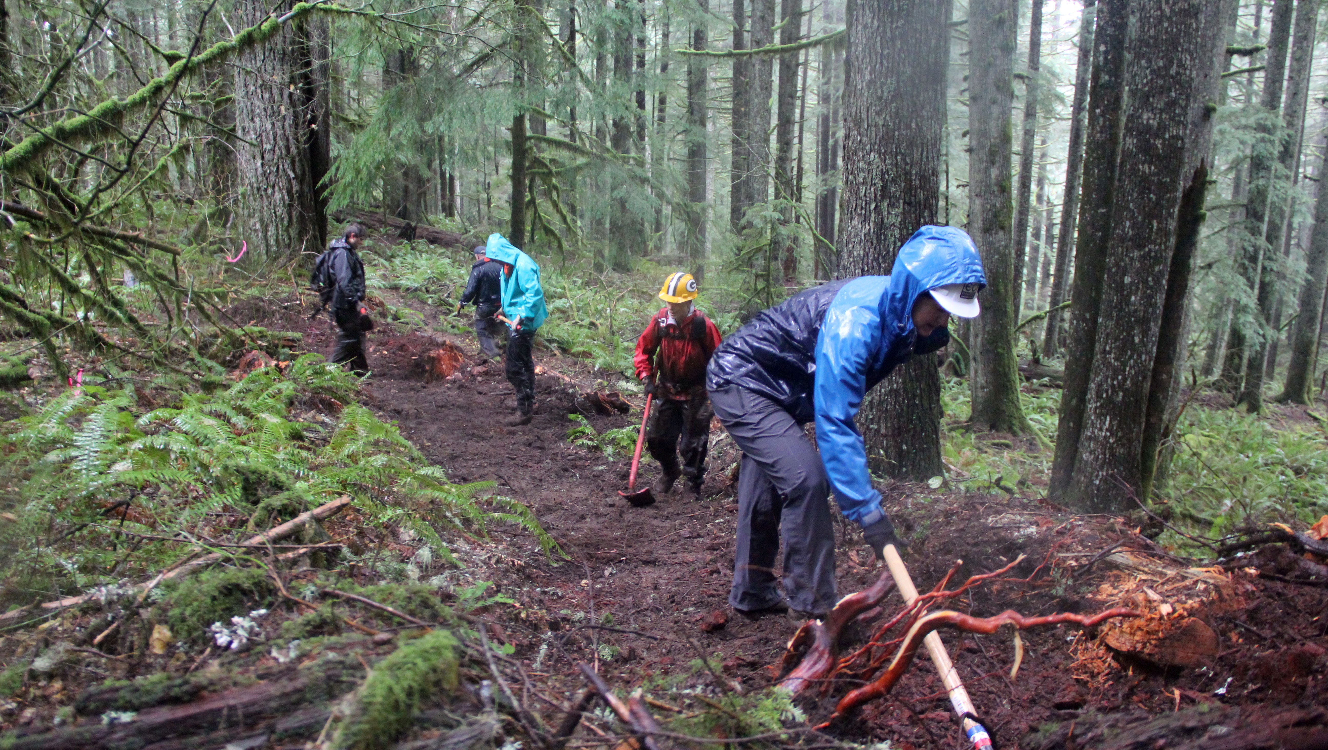 Volunteers Work Through Rain To Build New Silver Falls Trail