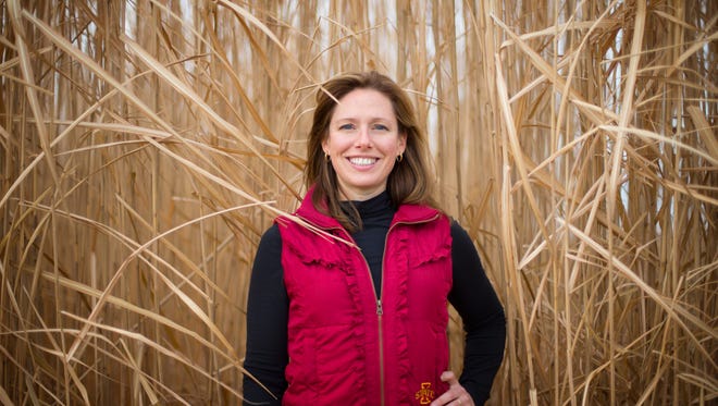 Emily Heaton Associate Professor of Agronomy at Iowa State University
stands in a field of a perennial grass called Miscanthus x giganteus Friday, Dec. 11, 2015. The grass can be burned with coal in power plants.