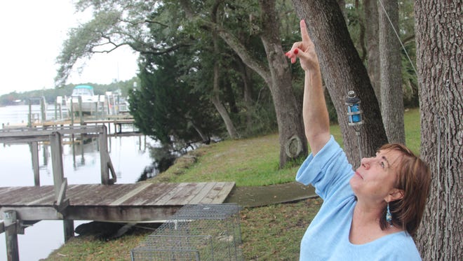 Linda Cowan points to where a monkey was accessing her bird feeder this week at her Carrabelle home.