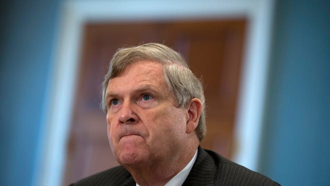 FILE - In this Oct. 7, 2015 file photo, Agriculture Secretary Tom Vilsack, pauses as he testifies on Capitol Hill in Washington before the House Agriculture Committee hearing on the 2015 Dietary Guidelines for Americans.  Retailers that accept food stamps would have to start stocking a wider variety of healthy foods or face the loss of consumers under proposed rules expected to be announced by the Agriculture Department on Tuesday.  (AP Photo/Carolyn Kaster)
