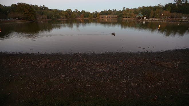 The exposed banks of Lake Ella are seen Thursday where the water has begun to receed as a 33-day period without rain has taken its toll on the area.