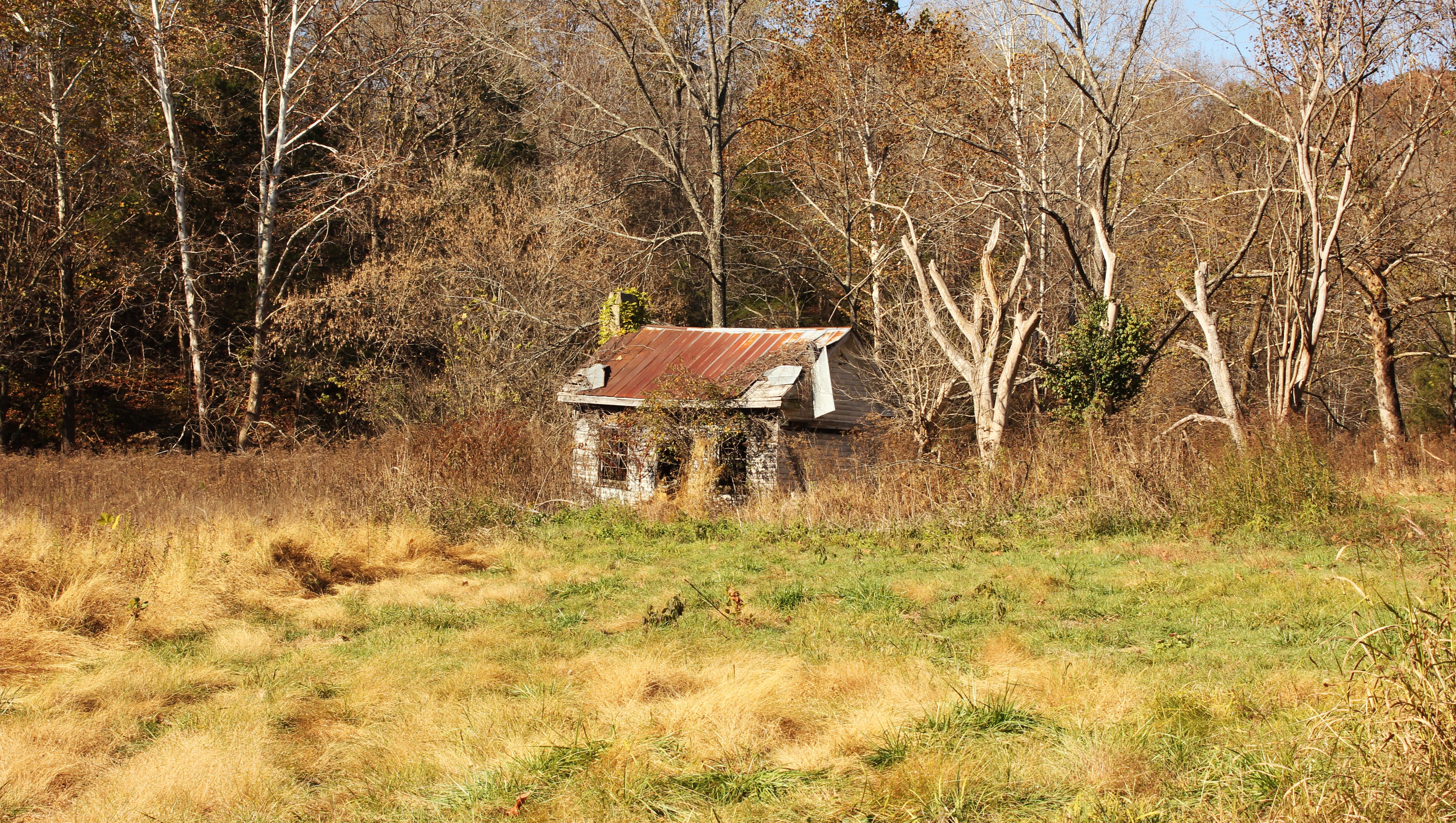 Bat fund helps grow Bernheim Forest by 162 acres