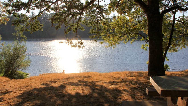 The Coho Picnic Area is at Spongs Landing County Park along the banks of the Willamette River.