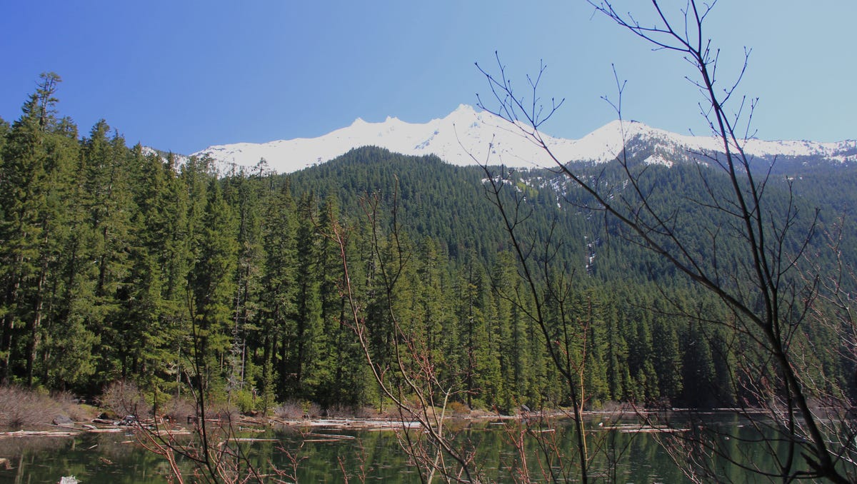 Pamelia Lake Trail