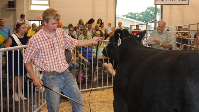 Months of hard work raising market animals are rewarded in the auction ring at local county fairs.