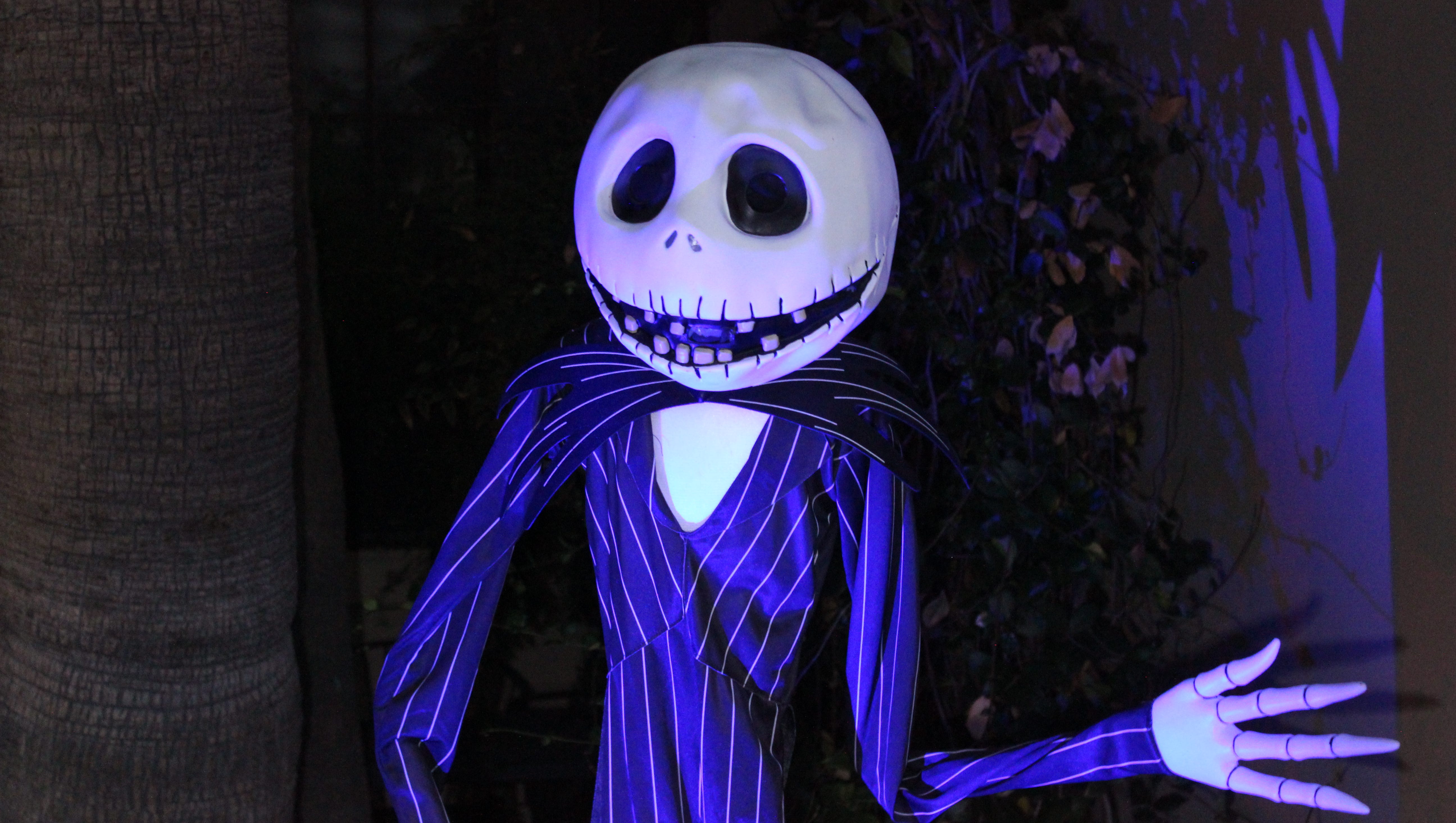 Free Things To Do With Kids In Phoenix In October