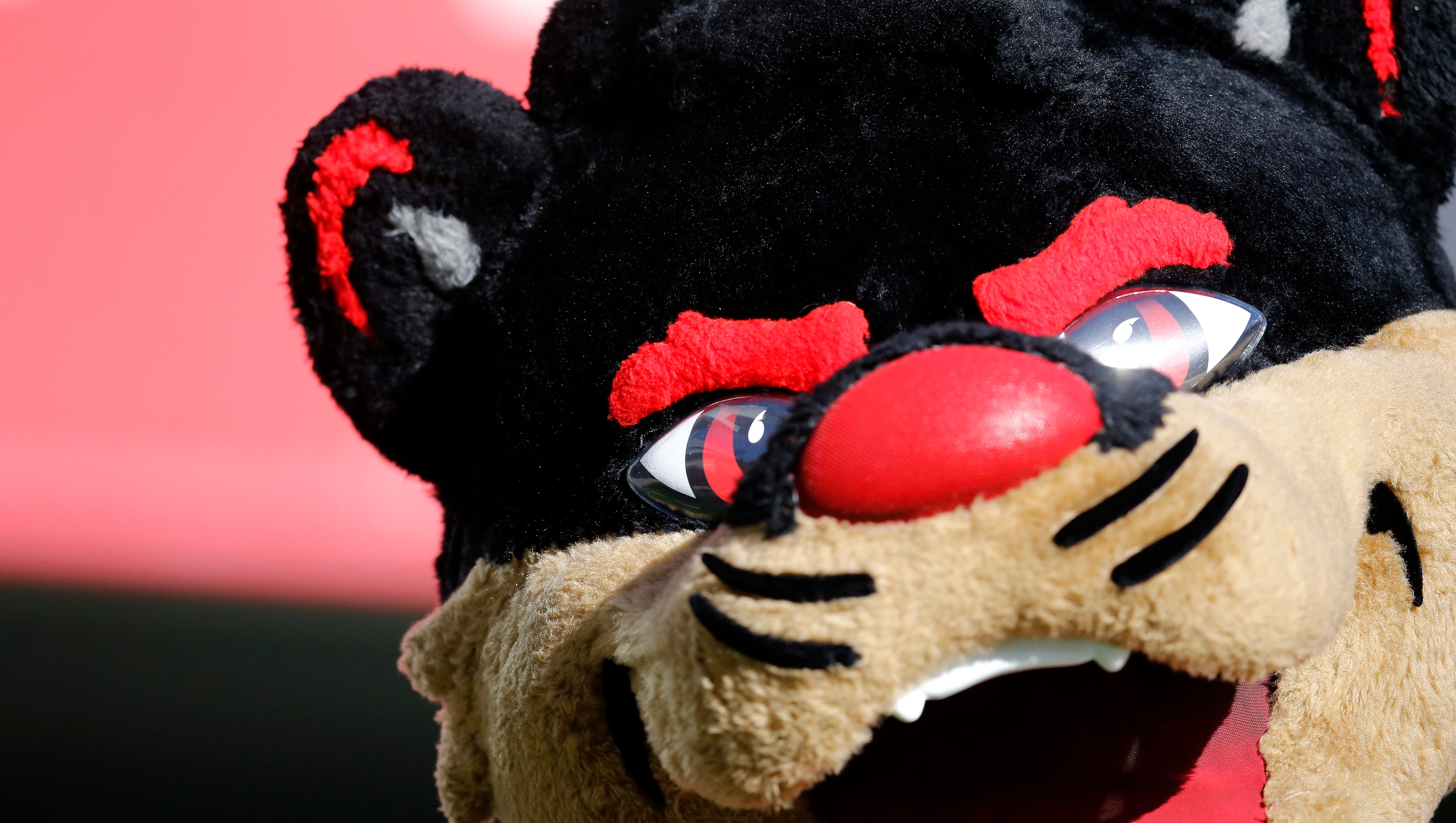 University Of Cincinnati What Is A Bearcat