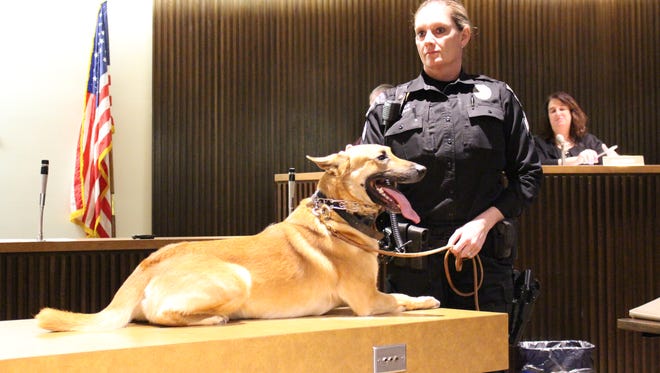 Mansfield Police K-9 Sam and Sergeant Sara Mosier-Napier came to the Mansfield City Council meeting on Tuesday, Jan. 16, 2018, during which council recognized 5-year-old Sam, who retired from the police department.